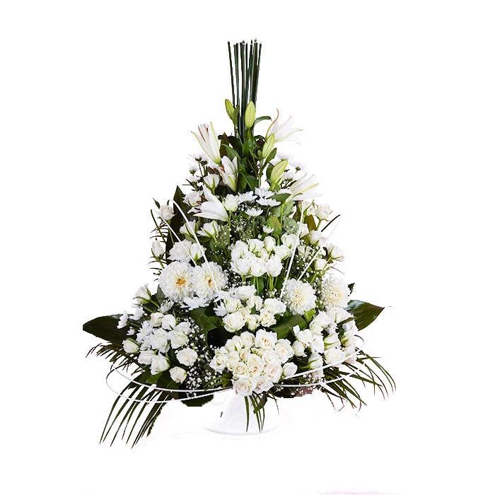 Elegance in White