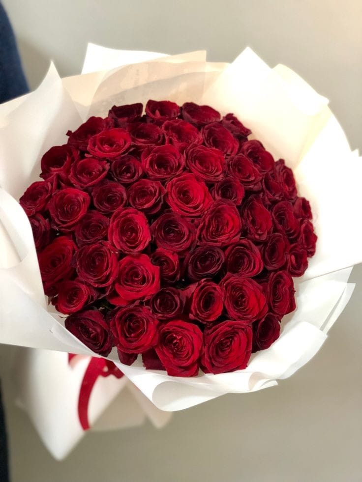 Amoré